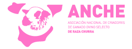logo-anche-rosa