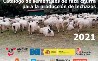 ANCHE presenta los catálogos de sementales para la producción de leche y lechazos