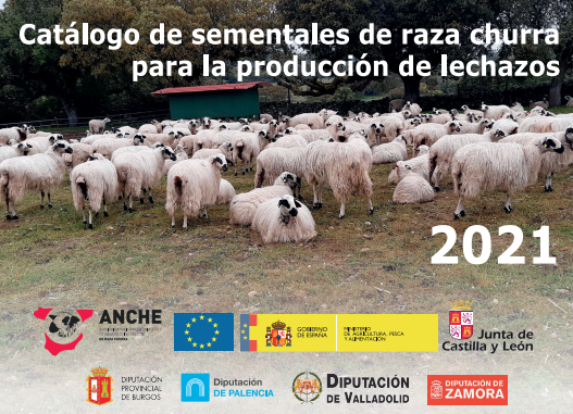 ANCHE presenta los catálogos de sementales para la producción de leche y lechazos