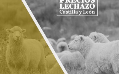 La Asociación Mesa del Lechazo de Castilla y León participa en el debate de CH37