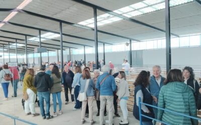 XXXVIII Edición del Concurso – Subasta Oficial de Ganado Ovino de Raza Churra 2025