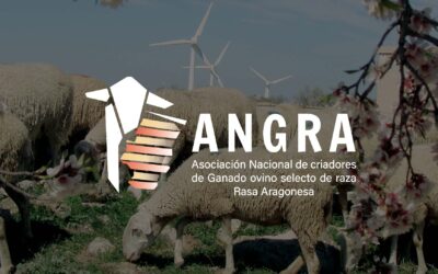 La Feria Churra acogerá el hermanamiento entre la Raza Churra y la Rasa Aragonesa